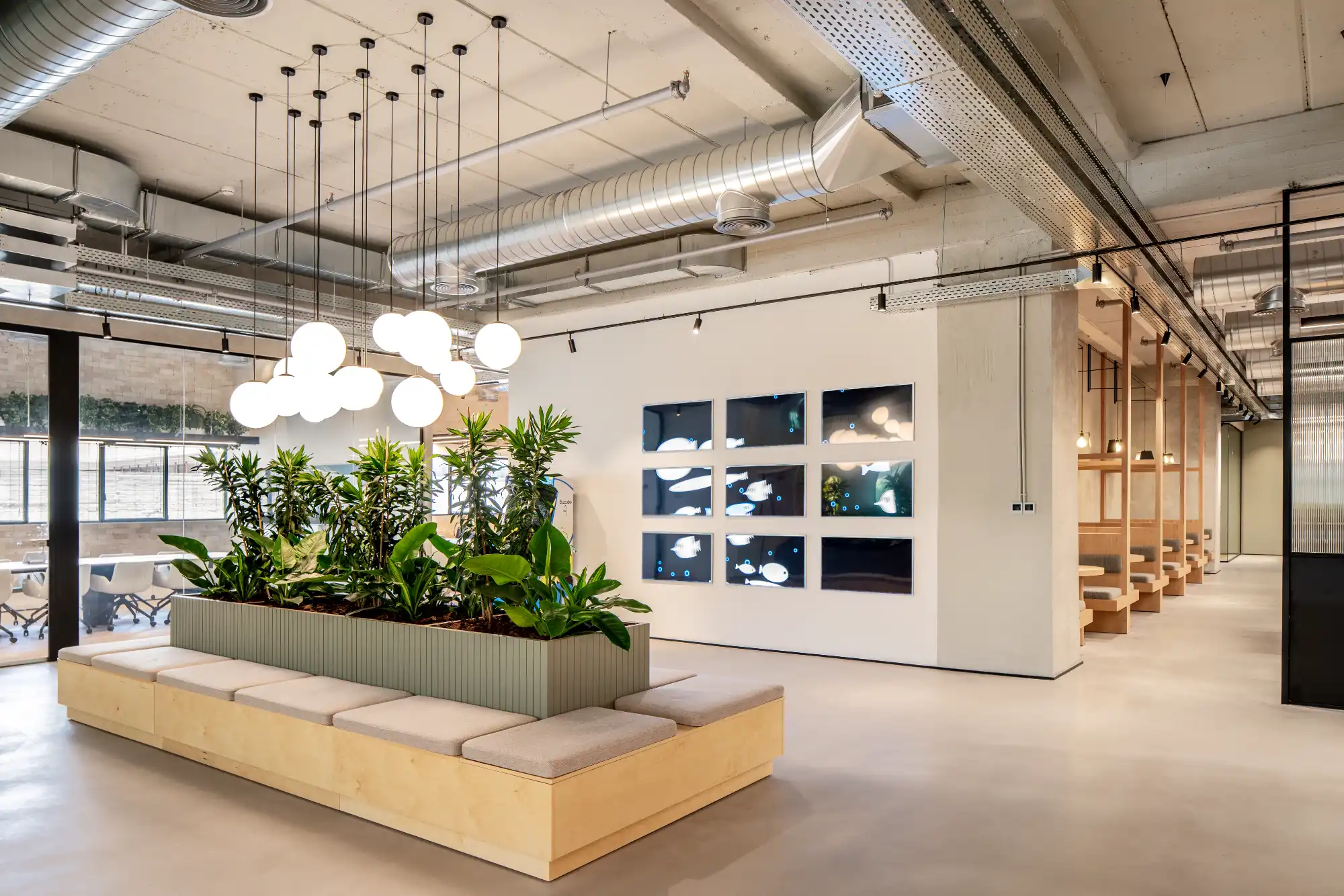 ביזבאו- חברת הייטק